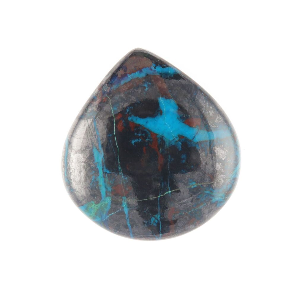 Parrot wing chrysocolla cabochon