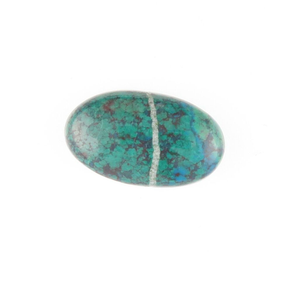 Parrot wing chrysocolla cabochon - 2776