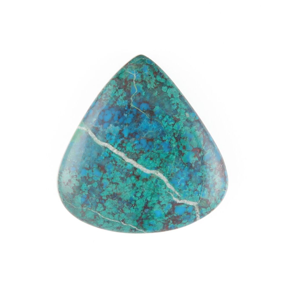 Parrot wing chrysocolla cabochon - 2777