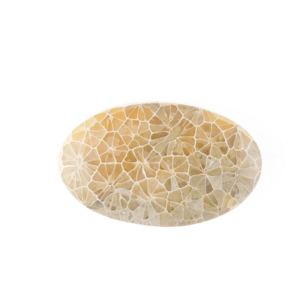 Fossil coral cabochon - 2805