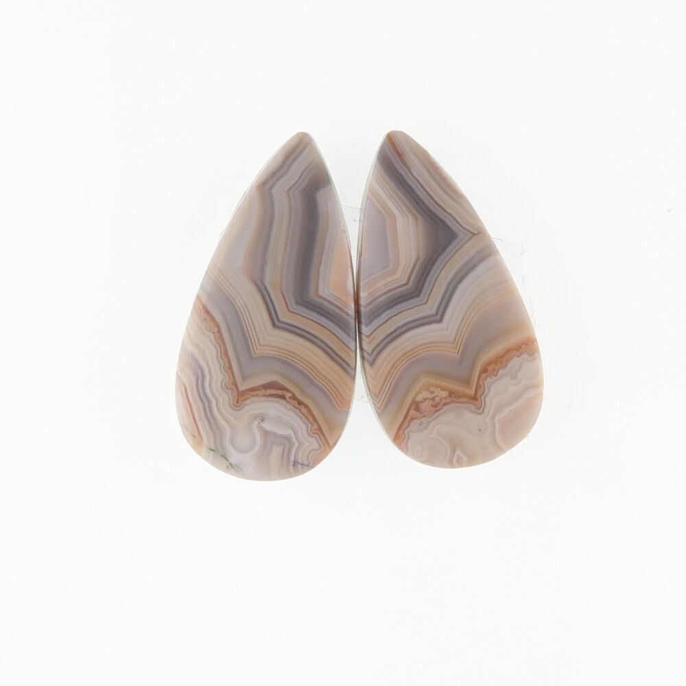 Crazy lace agate pair - 2841