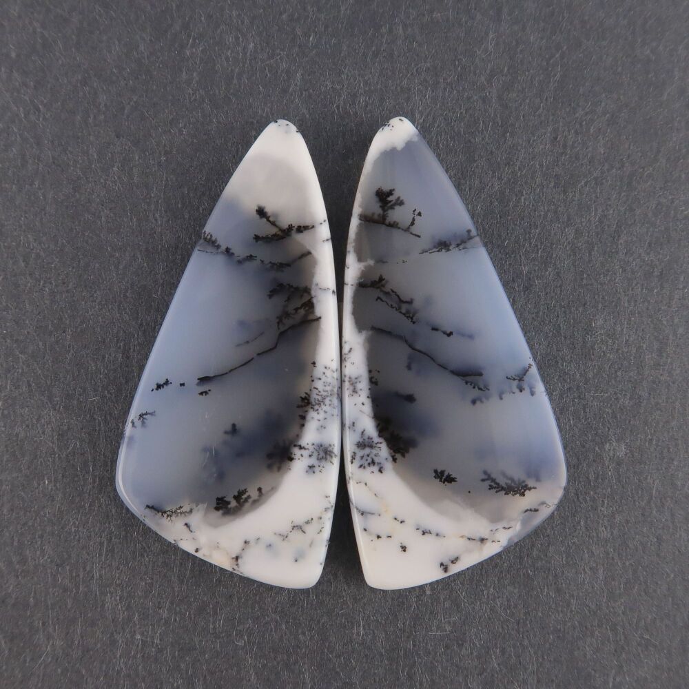 Dendritic agate pair