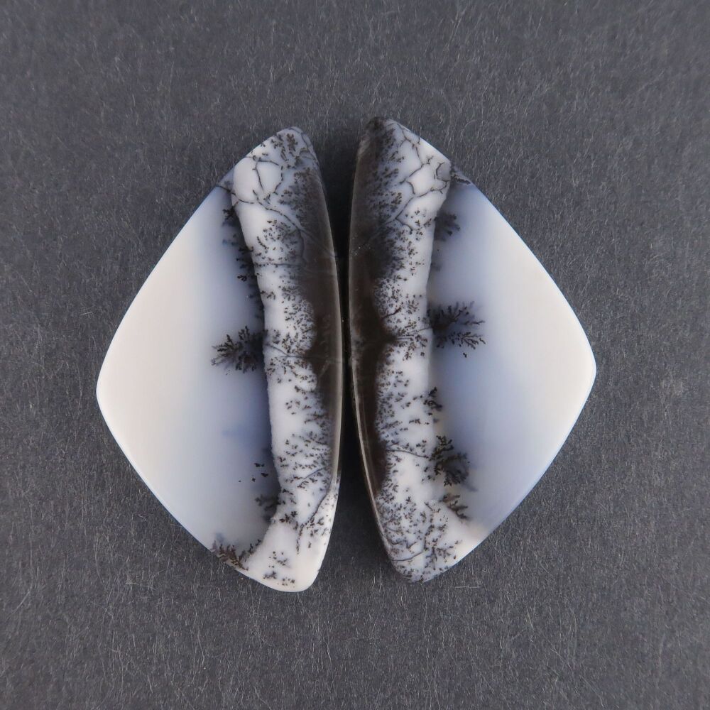 Dendritic agate pair