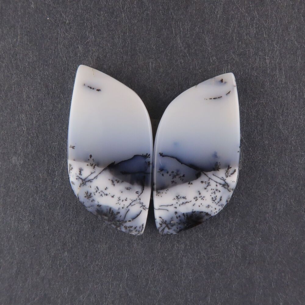 Dendritic agate pair