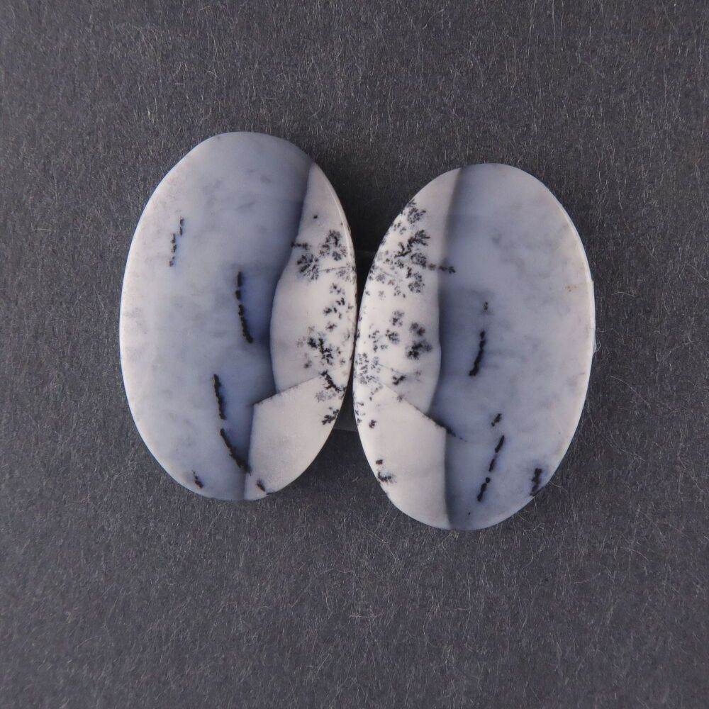 Dendritic agate pair