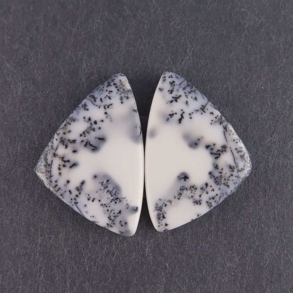 Dendritic agate pair