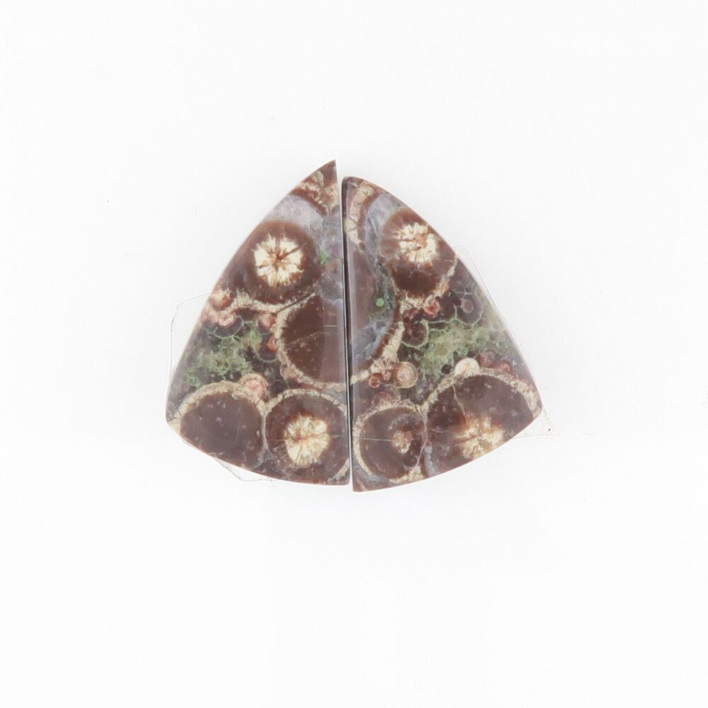 Crocodile rhyolite - 3338