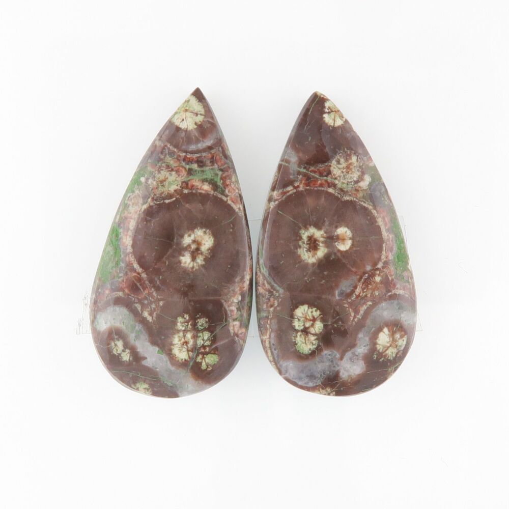 Crocodile rhyolite - 3340