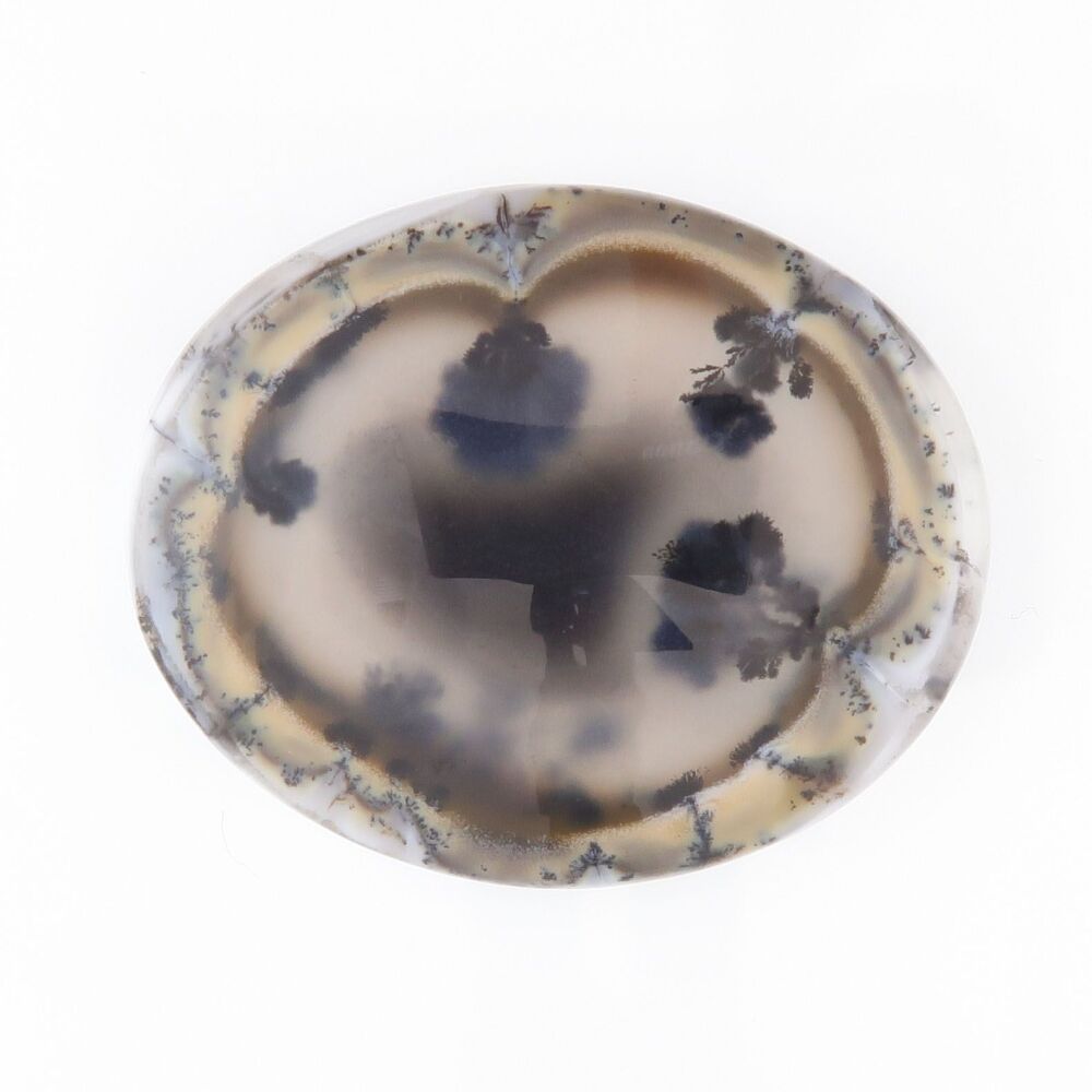 Dendritic agate cabochon - 3120