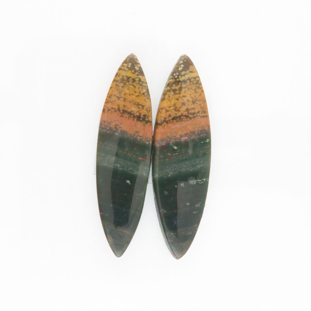 Ocean Jasper pair - 3320