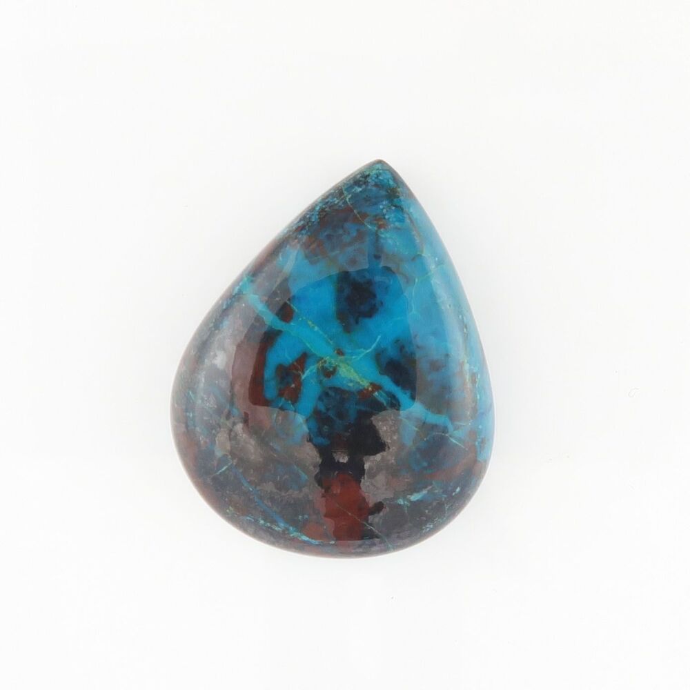 Parrot wing chrysocolla cabochon - 3548