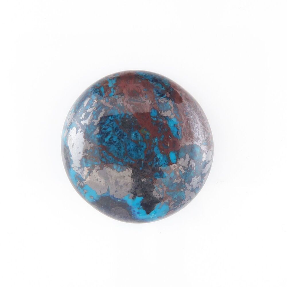 Parrot wing chrysocolla cabochon - 3549