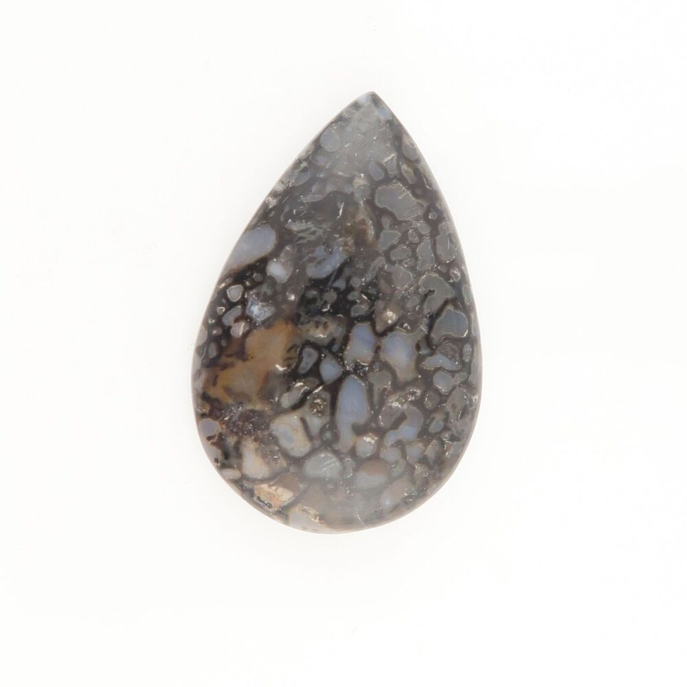 Fossilised dinosaur bone cabochon - 2000