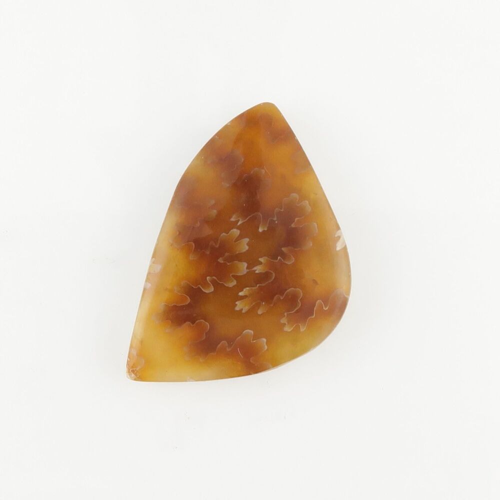 Ammonite cabochon with suture pattern - 3172