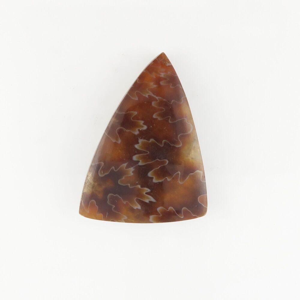 Ammonite cabochon with suture pattern - 3173