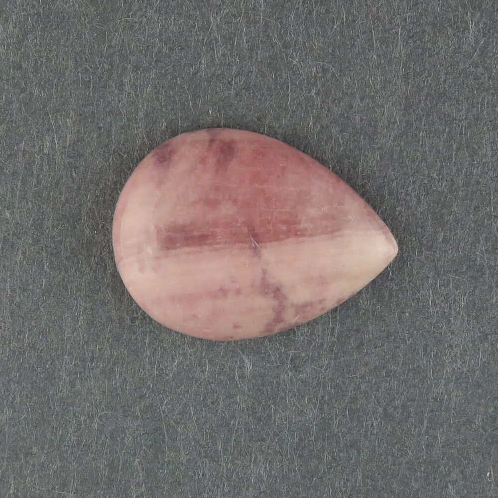 Stromatolite Beetroot stone - 3261