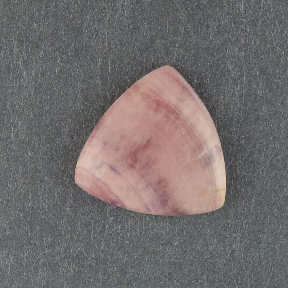 Stromatolite Beetroot stone - 3260