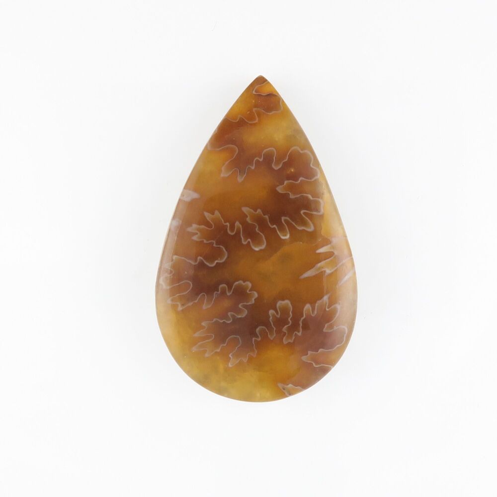 Ammonite cabochon with suture pattern - 3629