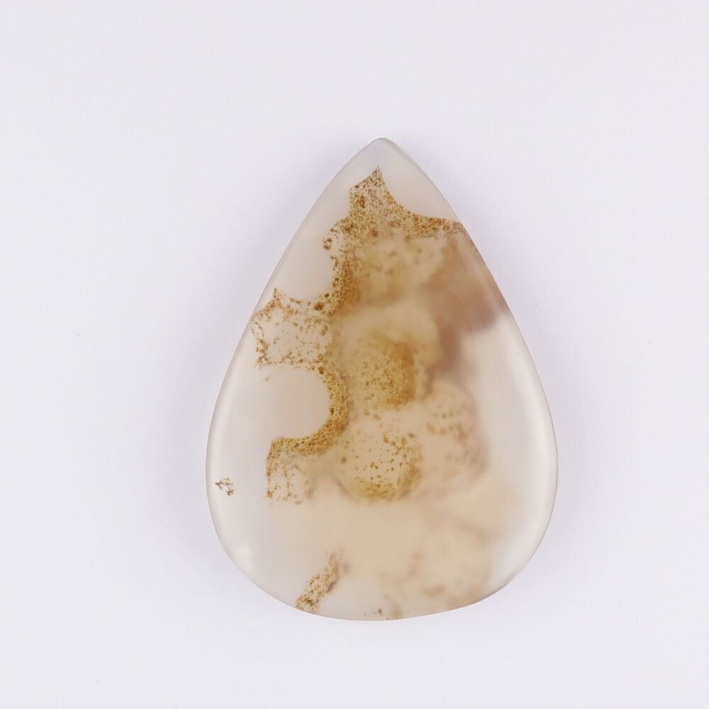 Agate cabochon with dendrites & botryoidal growth - 3633