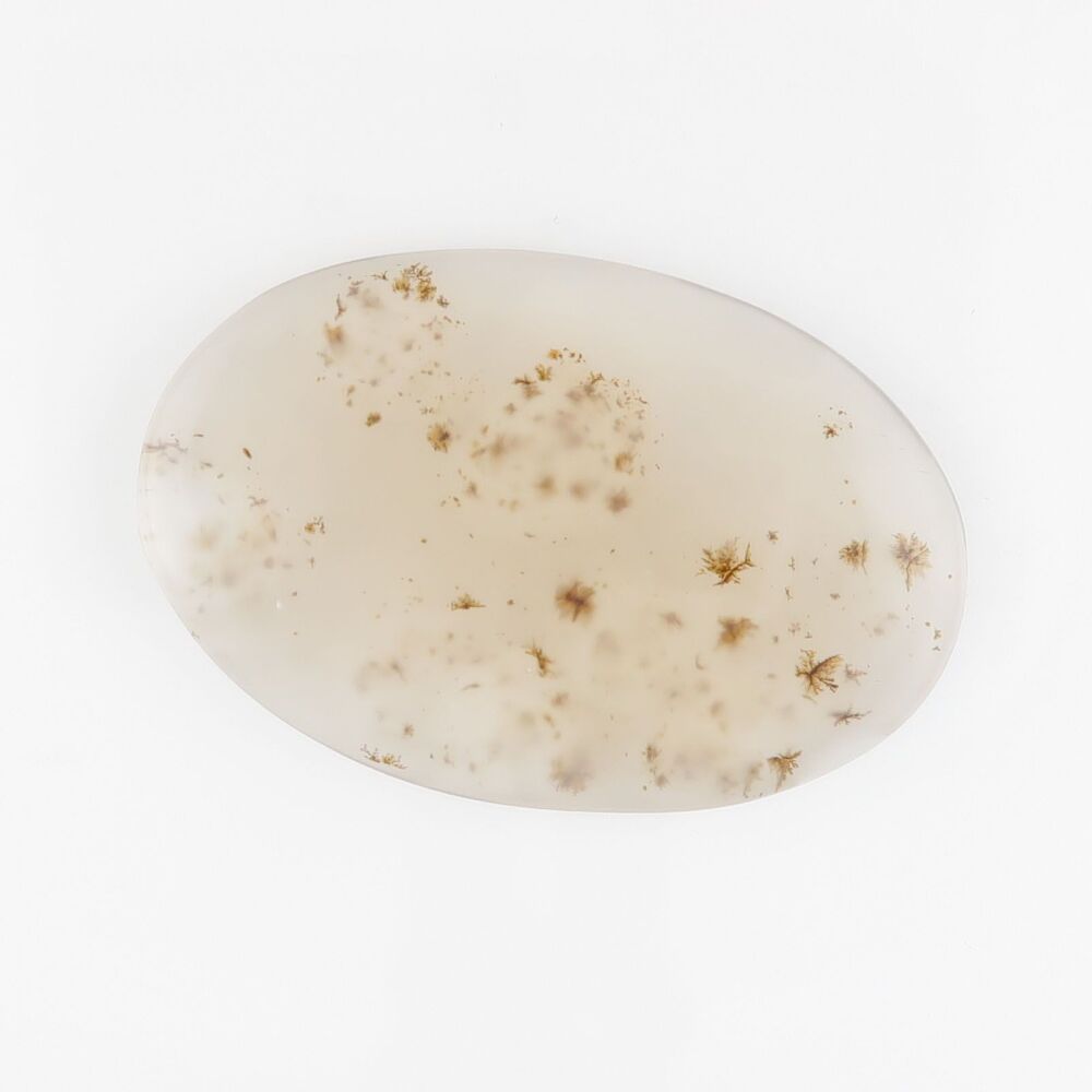 Agate cabochon with dendrites & botryoidal growth - 3631