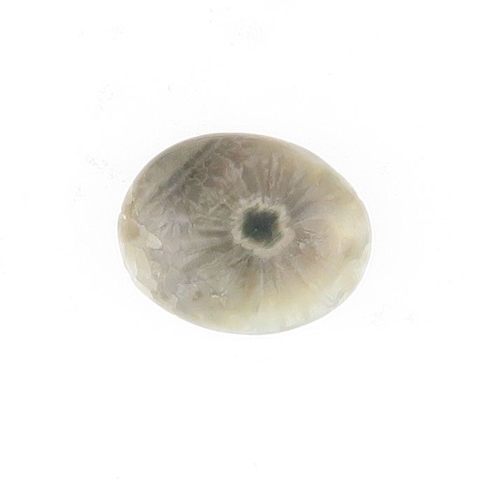 Ocean Jasper cabochon - 3819