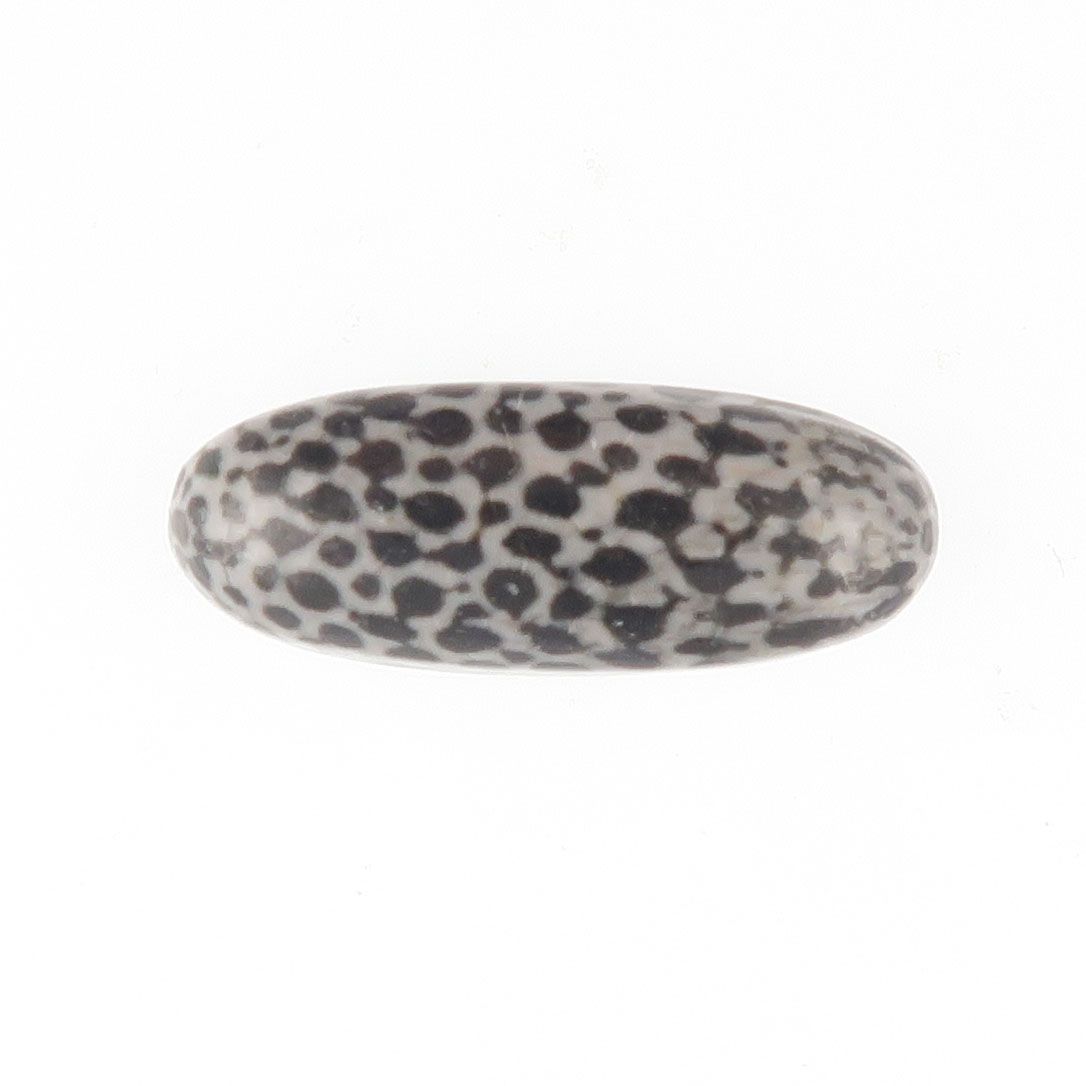 Fossil coral cabochon - 3882