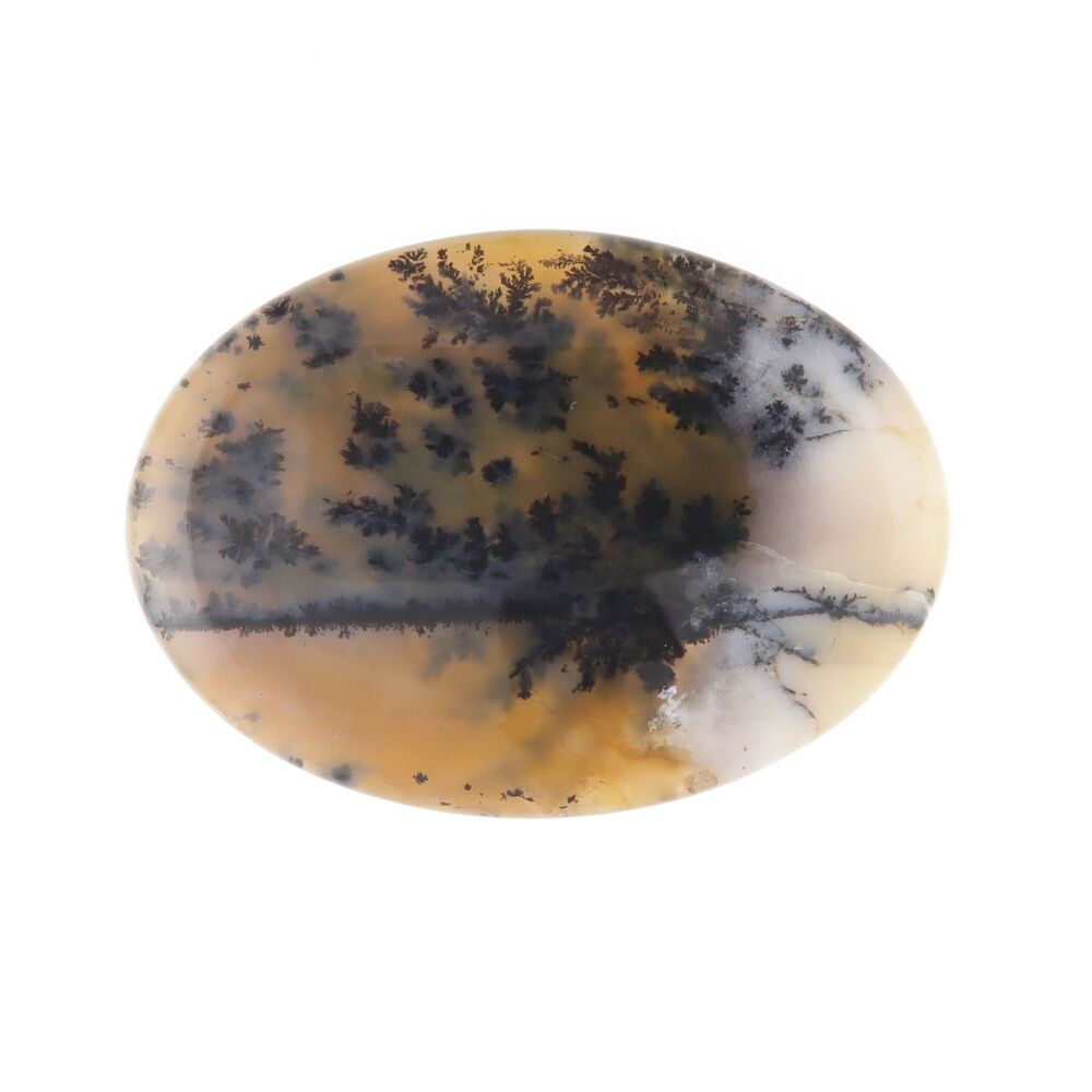 Dendritic agate cabochon - 3856
