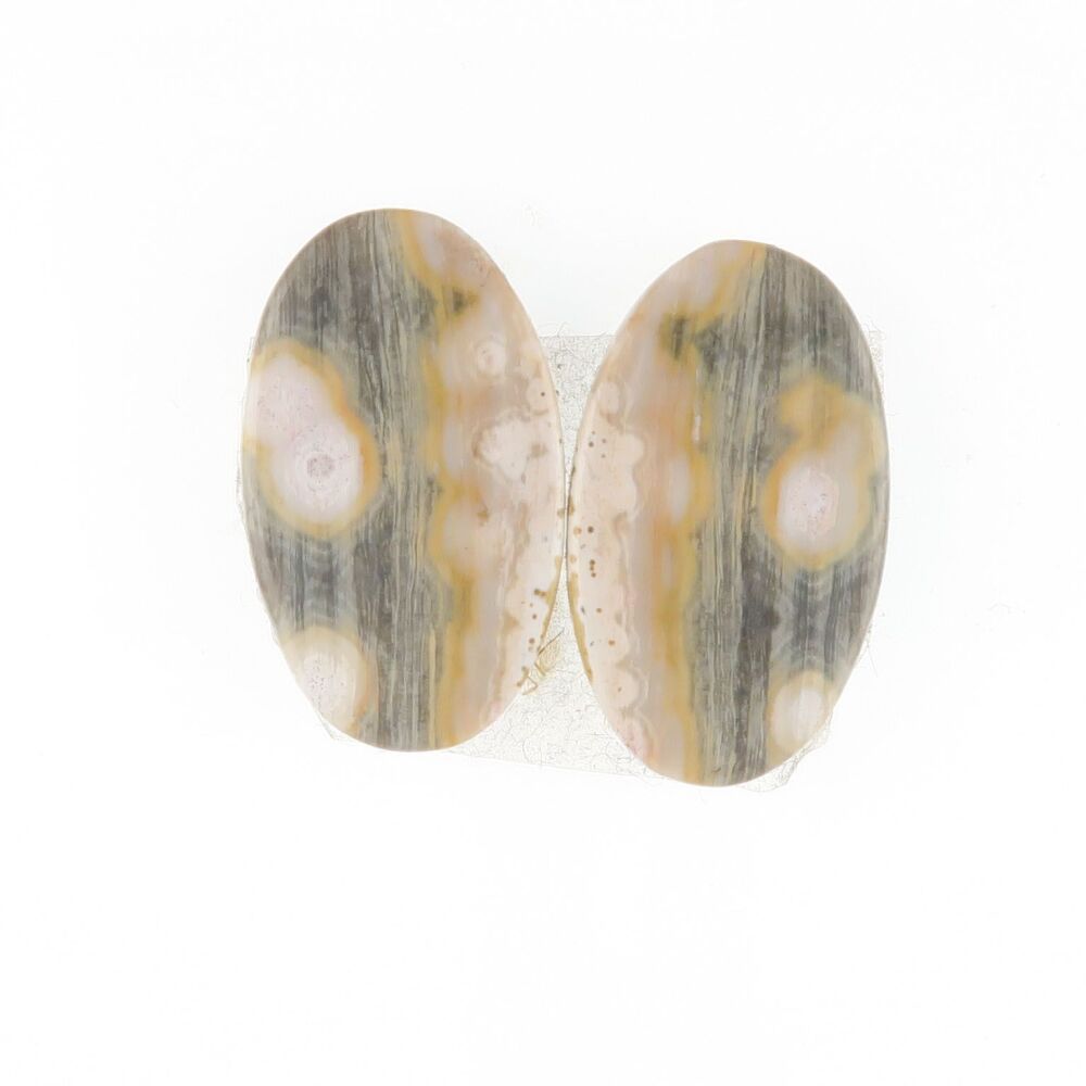 Ocean Jasper pair - 3978