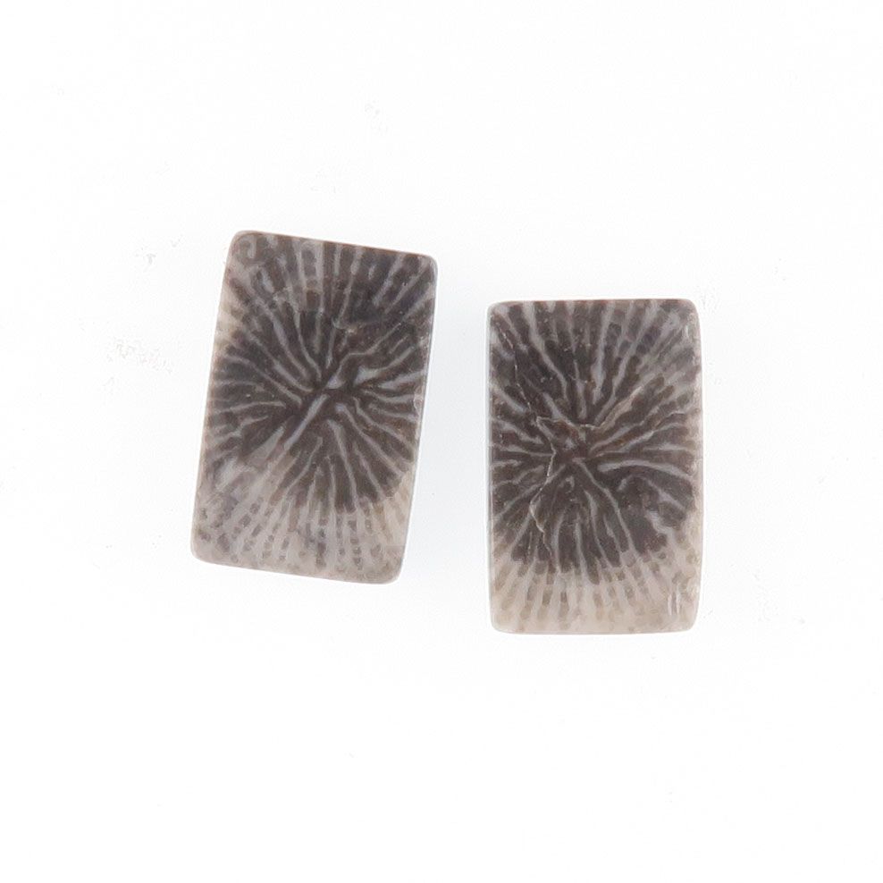 Fossil coral pair - 4116