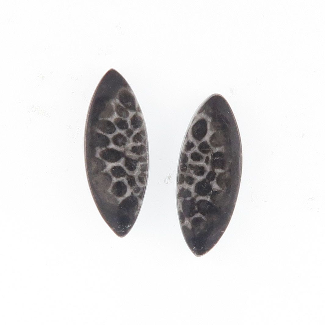 Fossil coral pair - 4115