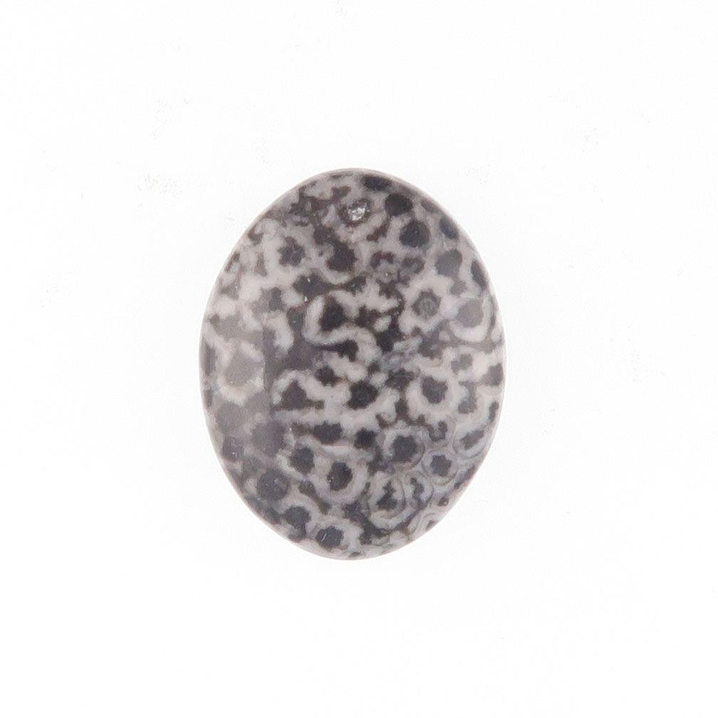Fossil coral cabochon - 3940