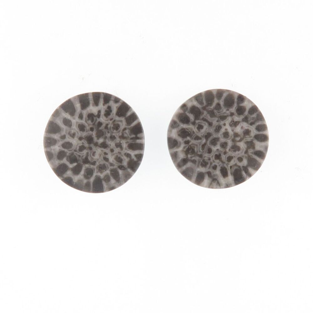 Fossil coral pair - 4117
