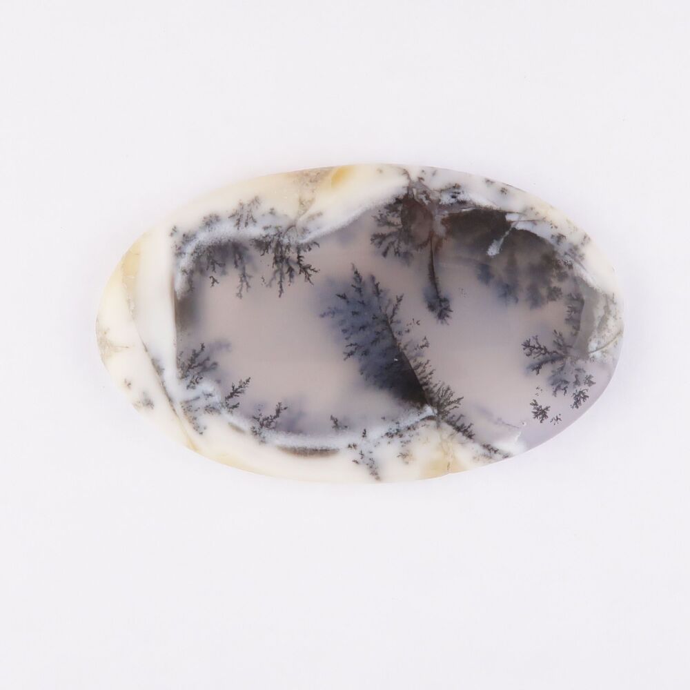 Dendritic agate cabochon - 3236