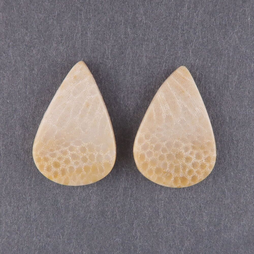 Fossil coral pair - 4006
