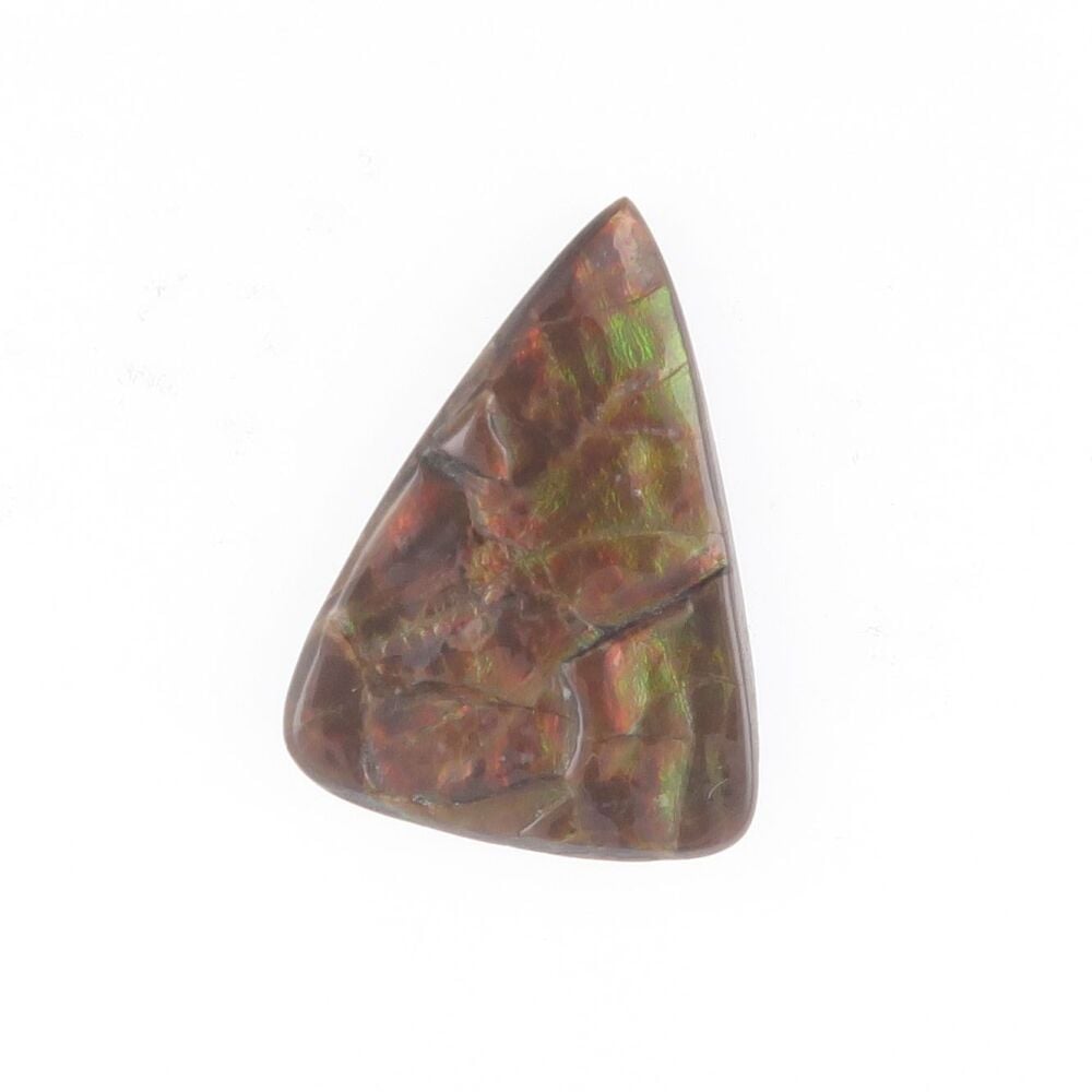 Fossilised ammonite shell doublet from Somerset - 2798