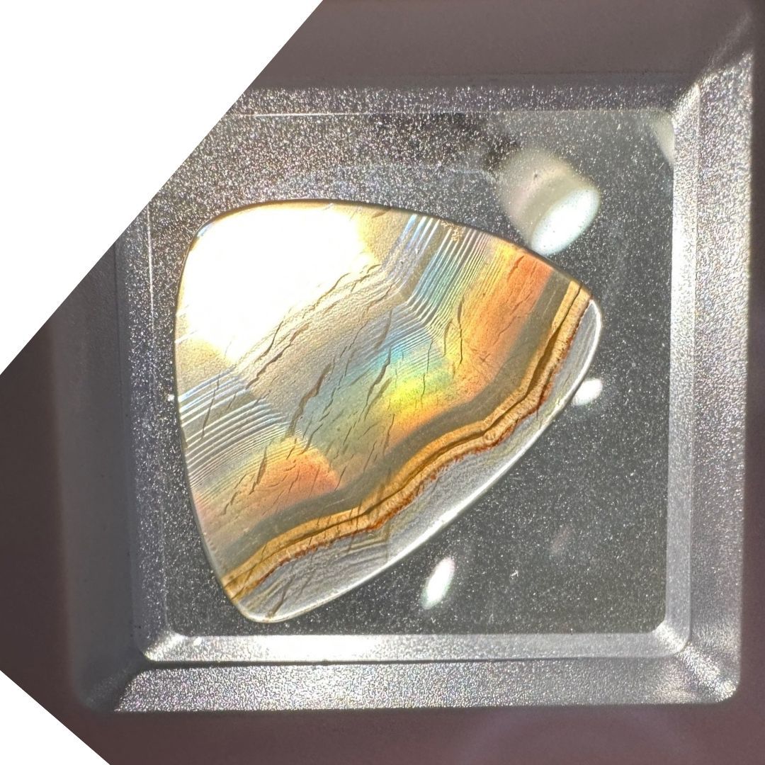 Iris agate slice - 2931