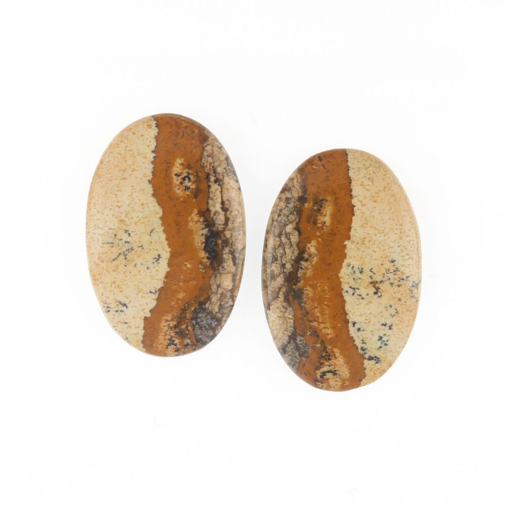 Picture jasper pair - 3979