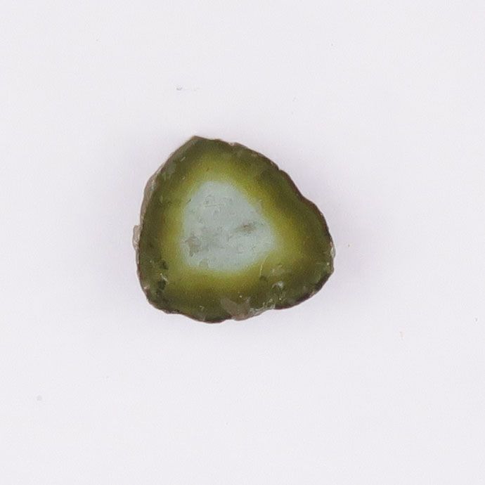 Tourmaline slice - 4211