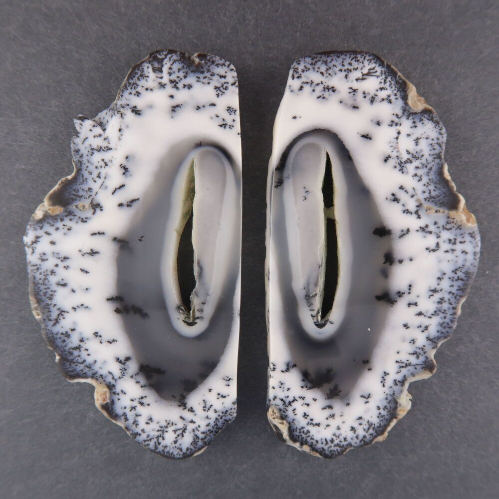 Dendritic agate pair - 4217