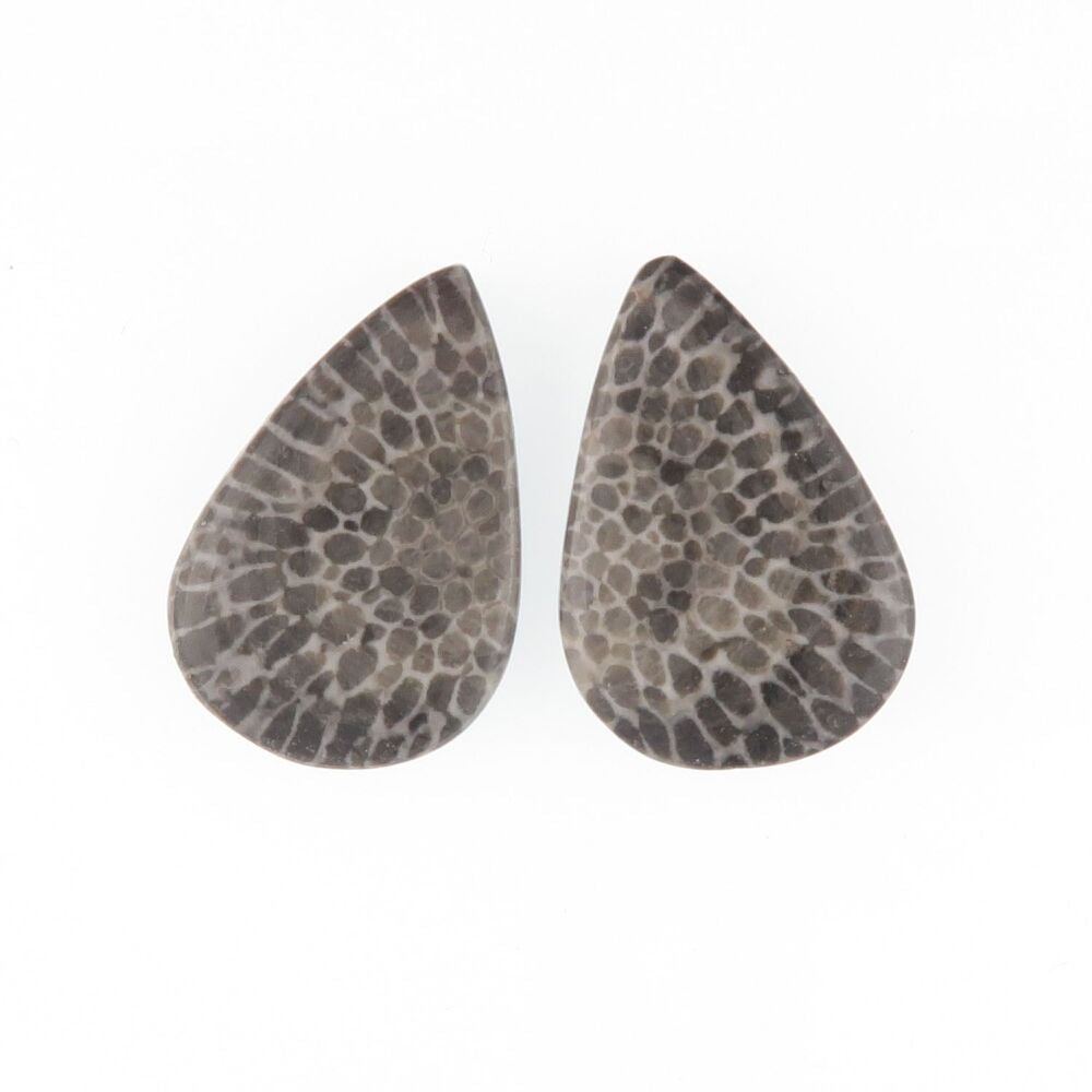 Fossil coral pair - 4381