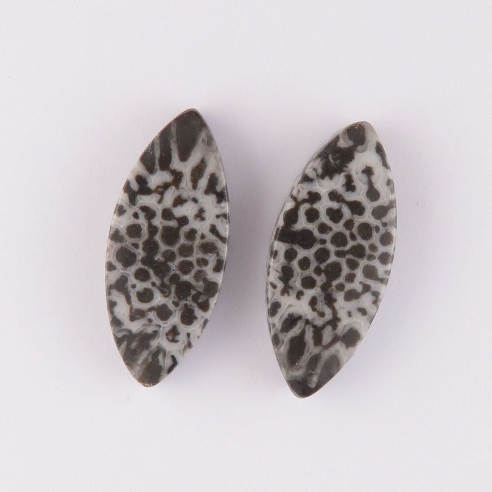 Fossil coral pair - 4371
