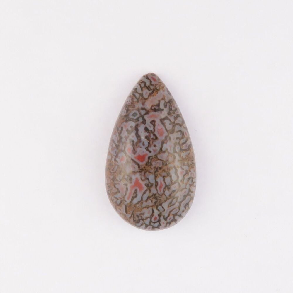 Fossilised dinosaur bone cabochon - 4412