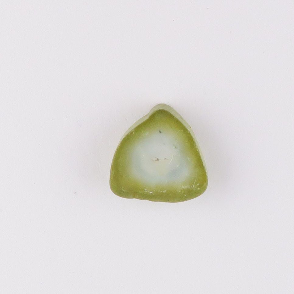 Tourmaline slice - 4361