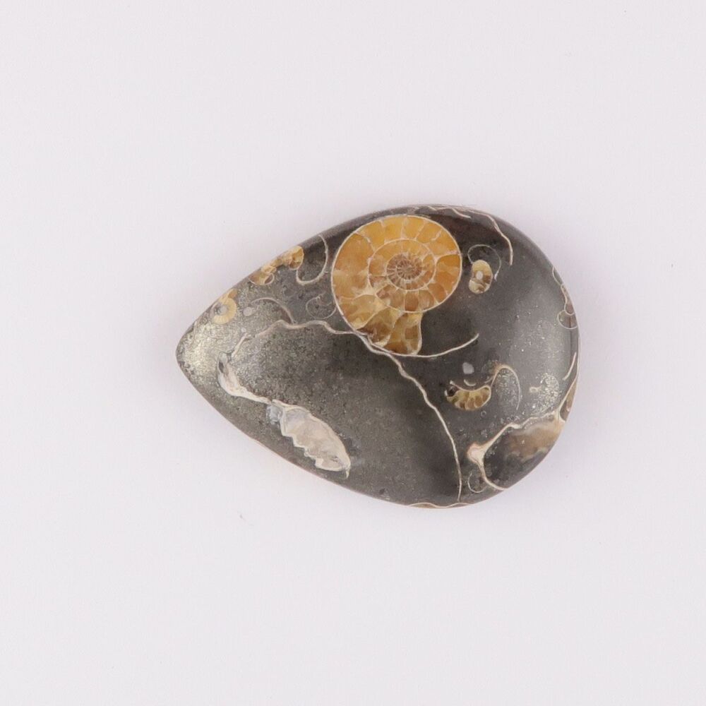 "Marston Marble" from Somerset - 4517