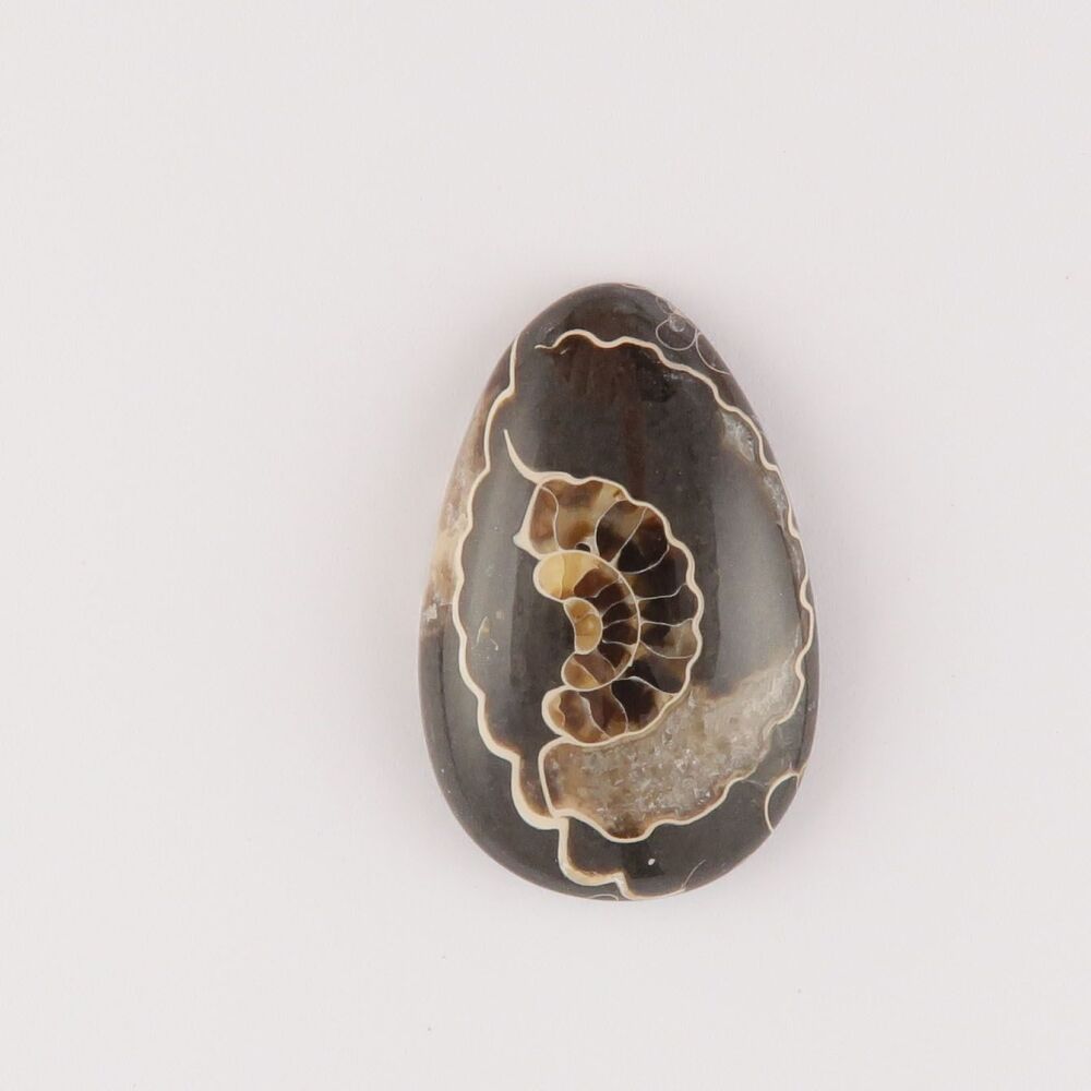 "Marston Marble" from Somerset - 4518