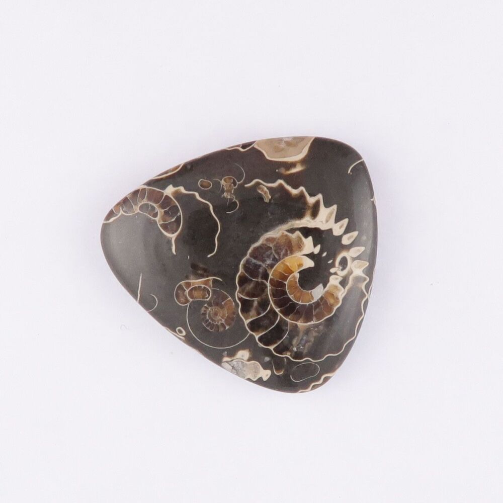 "Marston Marble" from Somerset - 4519