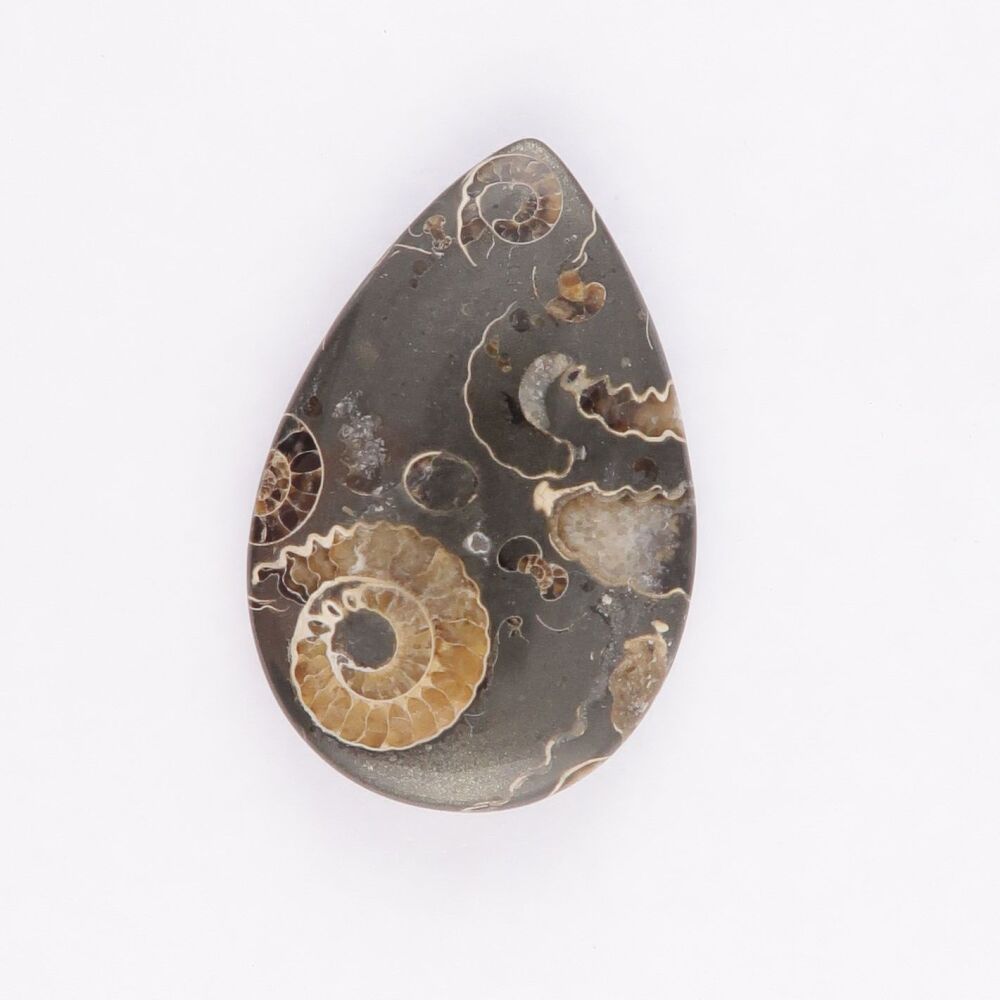 "Marston Marble" from Somerset - 4520