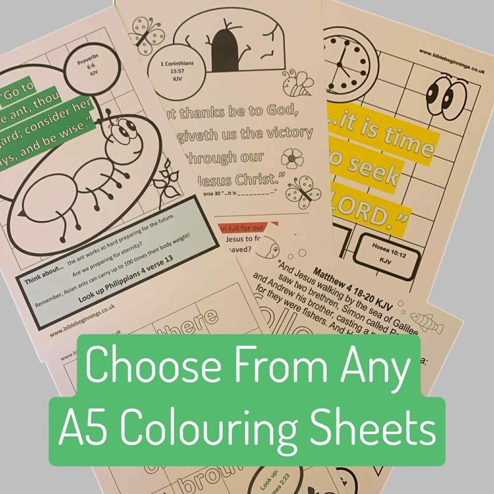 A5 Ready Printed Sheets