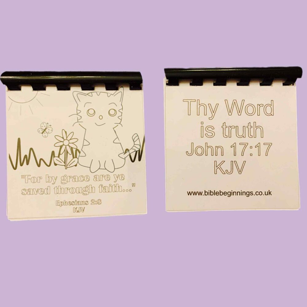 Cute Kitten Note Book