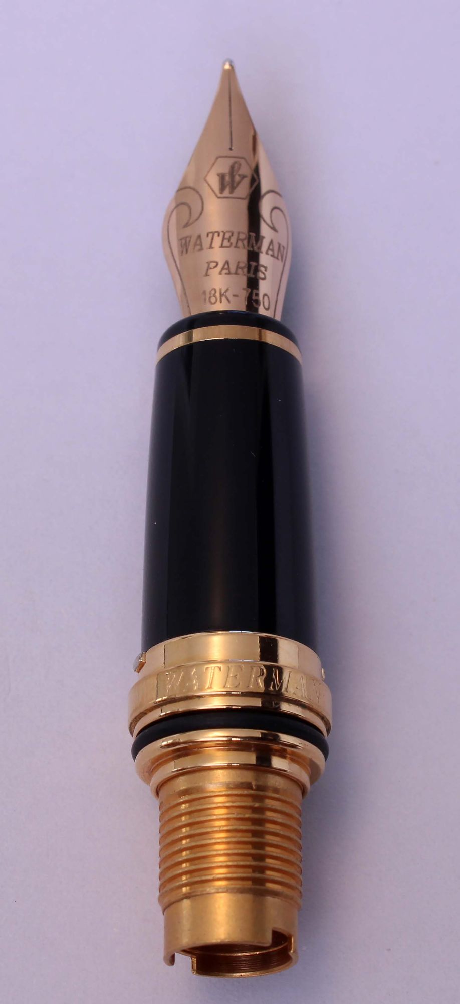 N1063- Watermans L'Etalon Complete Medium Nib Unit